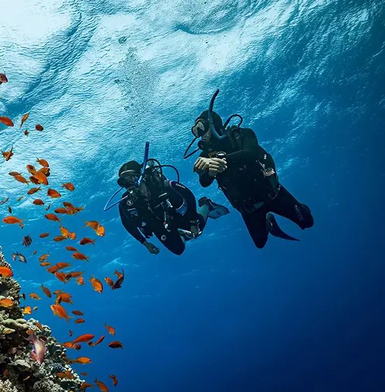 Dive Center