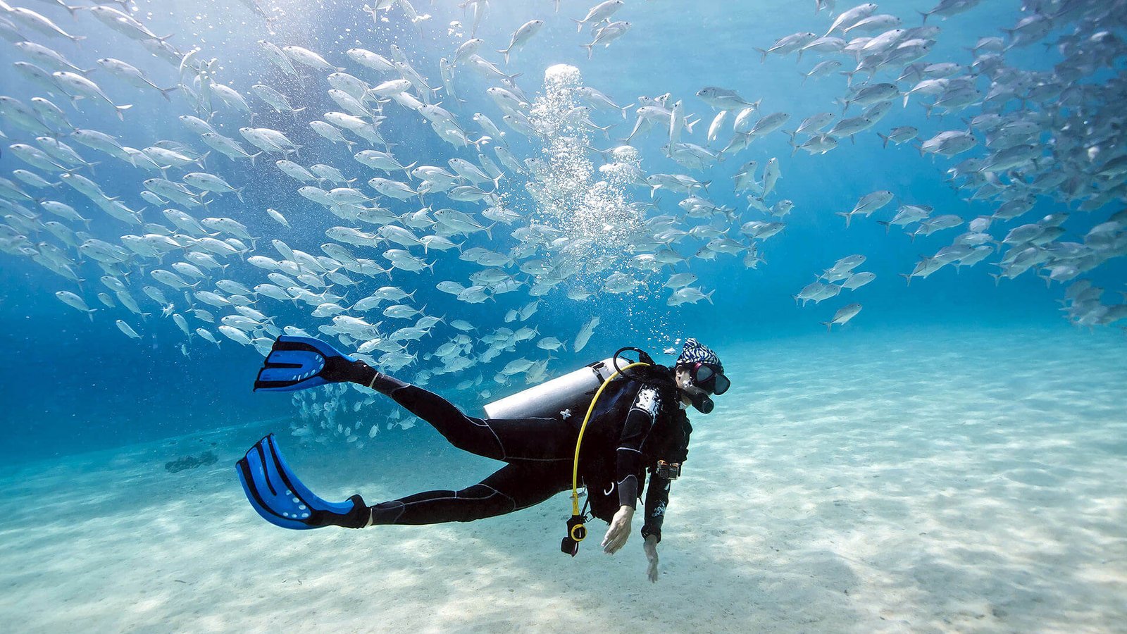 Open Water Diver