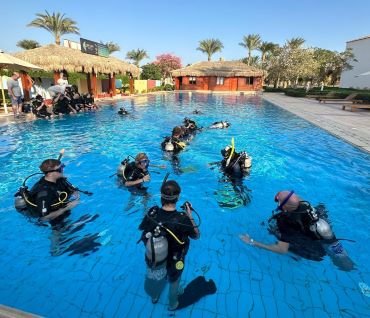 Dive Center
