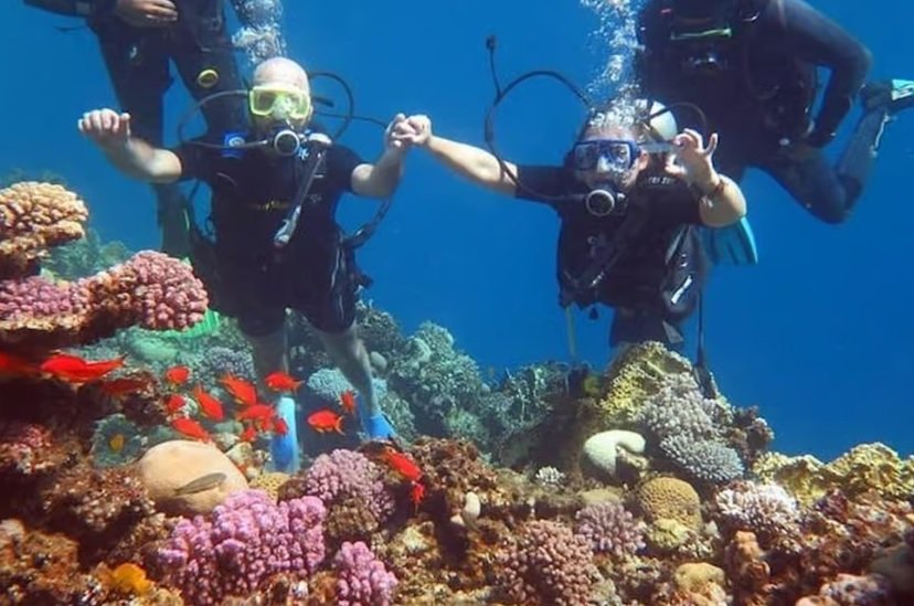 Introduction dive from the Shore & PADI Courses