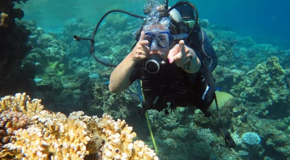 Tiran Island: Full-day Snorkeling, Diving Boat Trip
